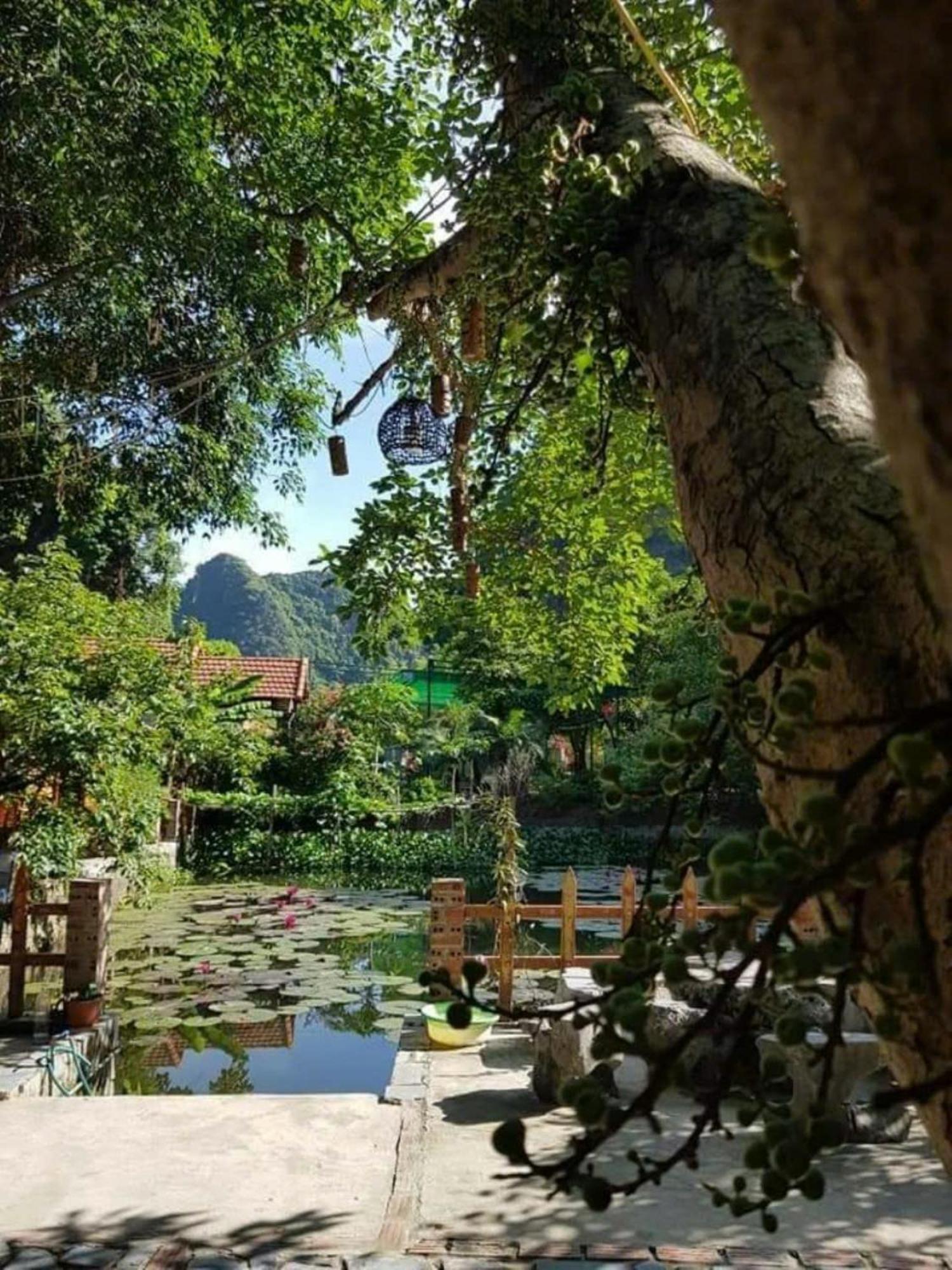 Hoalu Backpacker Homestay Ninh Binh Esterno foto