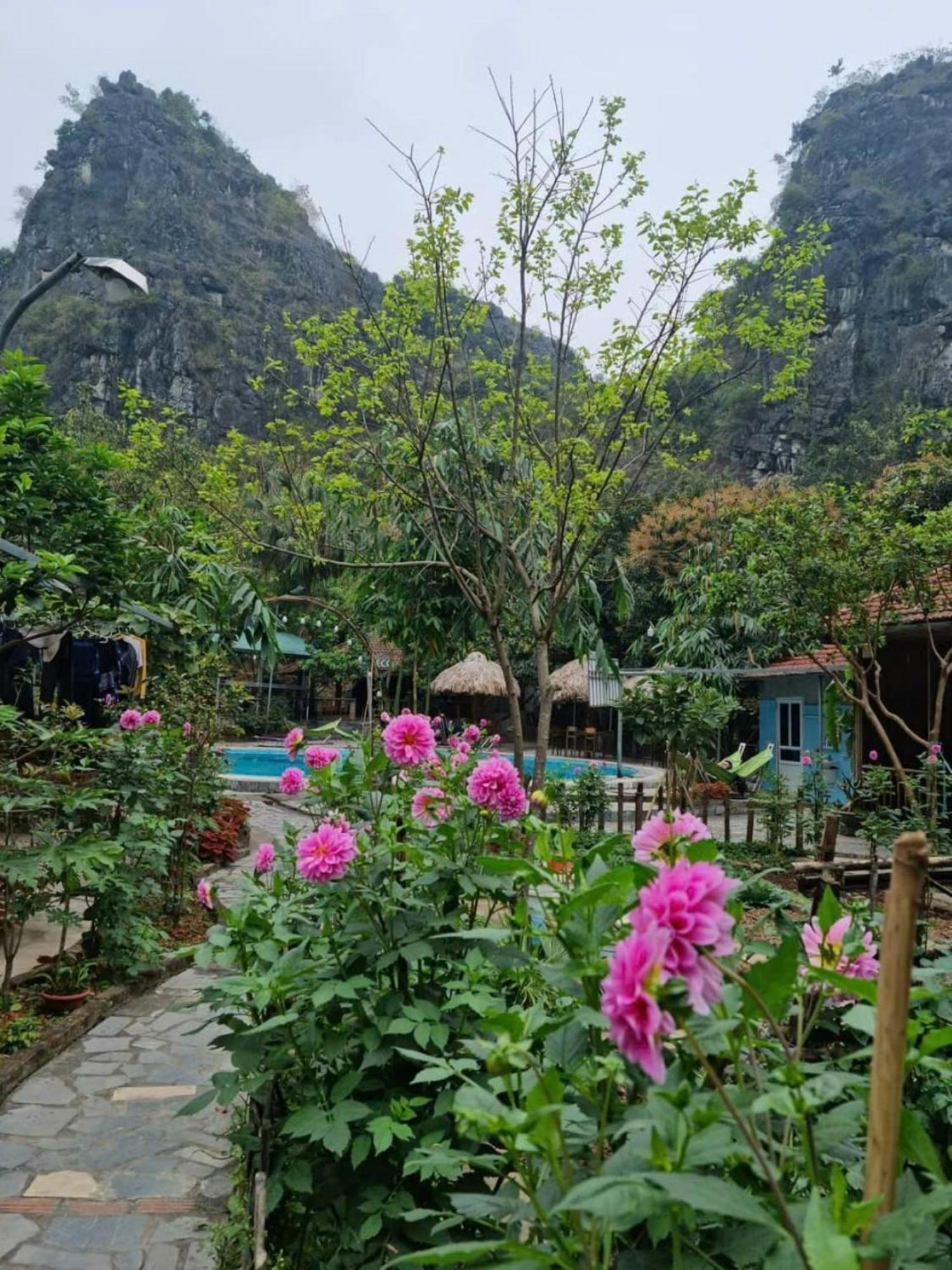 Hoalu Backpacker Homestay Ninh Binh Esterno foto