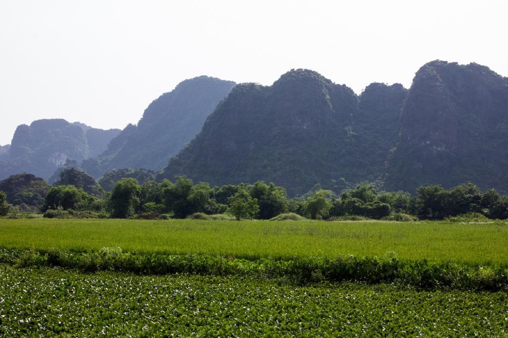 Hoalu Backpacker Homestay Ninh Binh Esterno foto